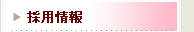 採用情報